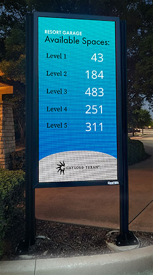 rgb freedom sign image at night